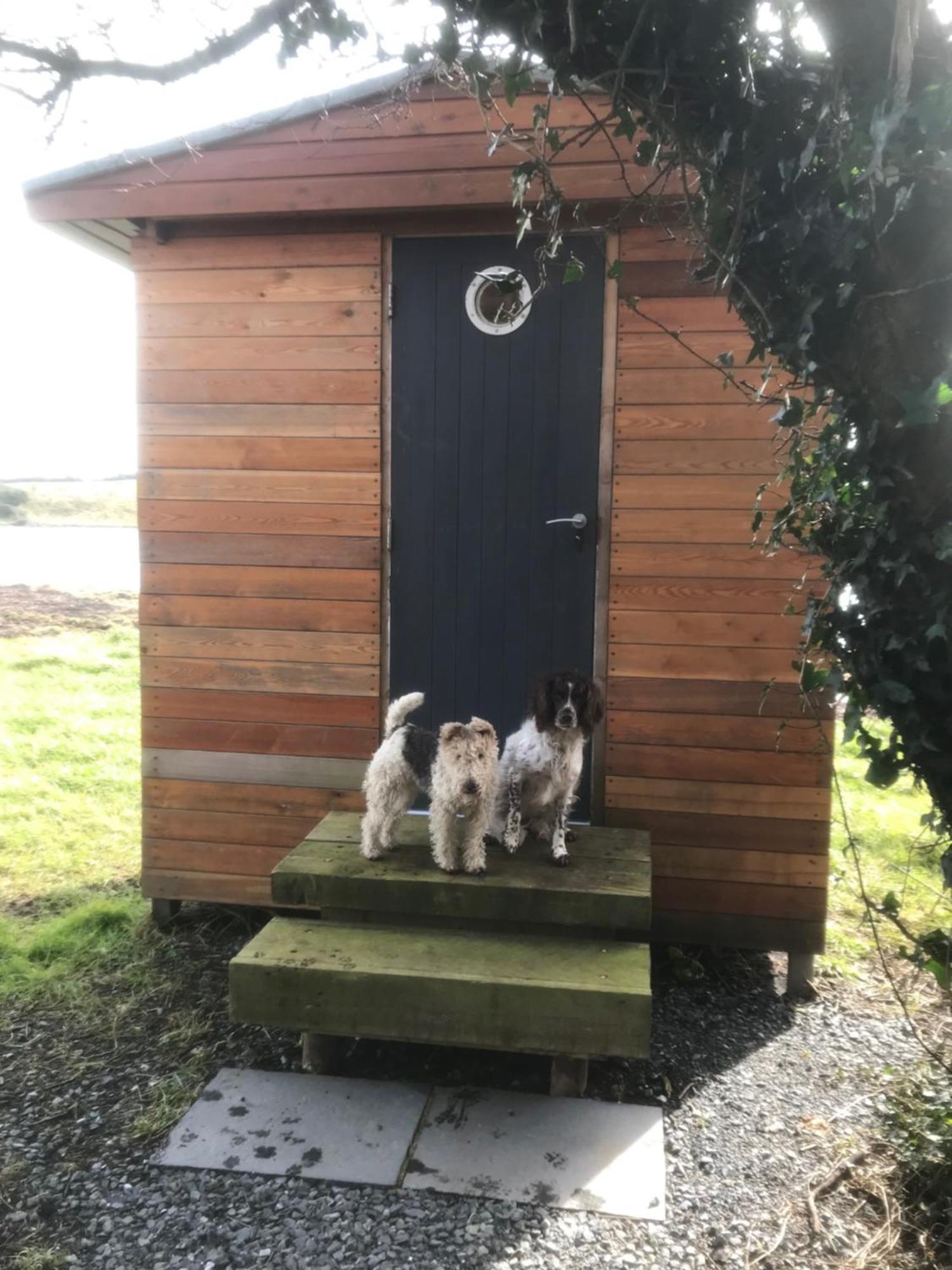 Holiday home Teal Cottage, Killlyleagh *